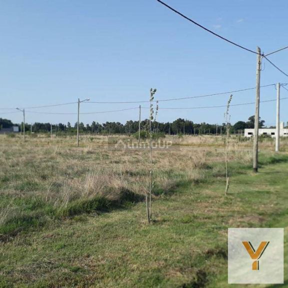 Terreno en Venta en Coronel Brandsen, Buenos Aires Interior