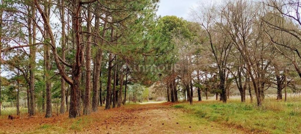 Terreno en Venta en Exaltacion de la Cruz, G.B.A. Zona Norte - USD 75.000 | Inmoup - 8