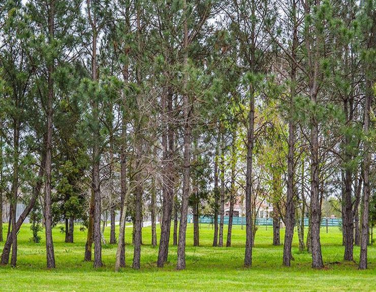 Terreno en Venta en Berazategui, G.B.A. Zona Sur