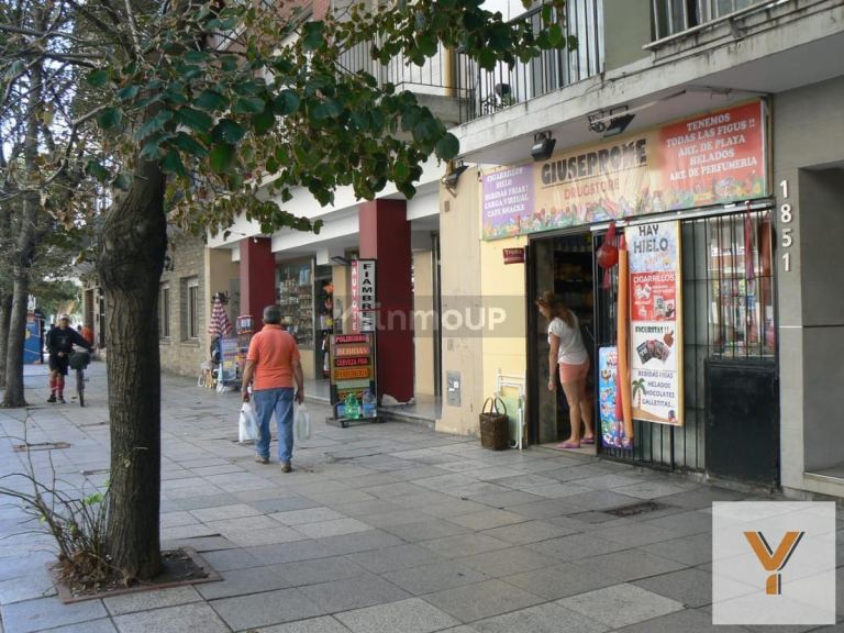 Local Comercial en Venta en Mar del Plata, Buenos Aires Costa Atlantica - USD 85.000 | Inmoup - 11