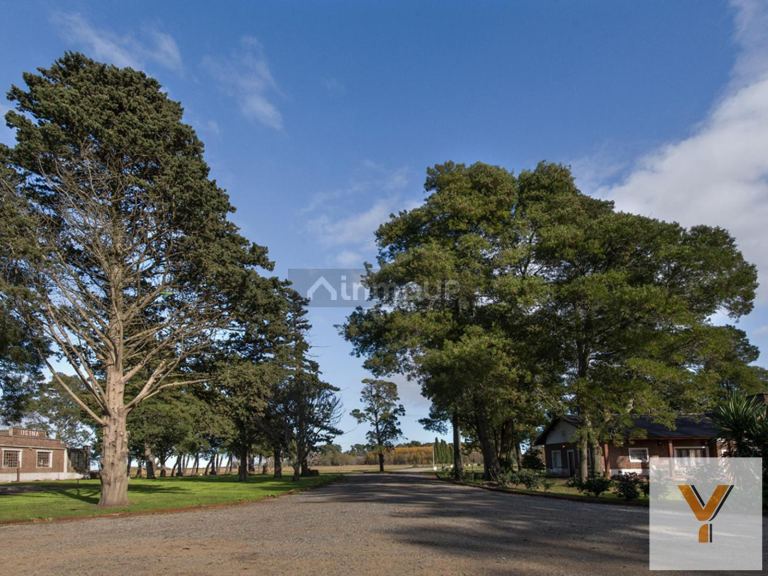 Casa en Venta en Pinamar, Buenos Aires Costa Atlantica