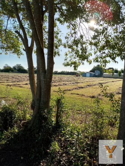 Terreno en Venta en La Plata, G.B.A. Zona Sur