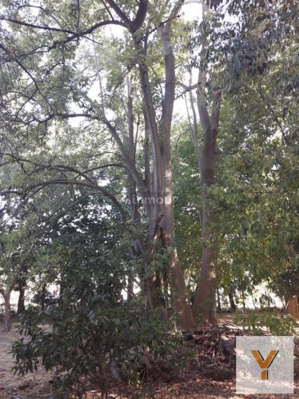 Terreno en Venta en La Plata, G.B.A. Zona Sur