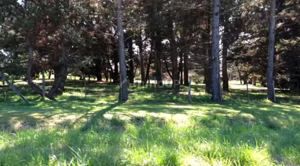 Terreno en Venta en Mar del Plata, Buenos Aires Costa Atlantica