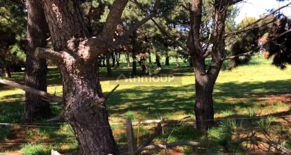 Terreno en Venta en Mar del Plata, Buenos Aires Costa Atlantica