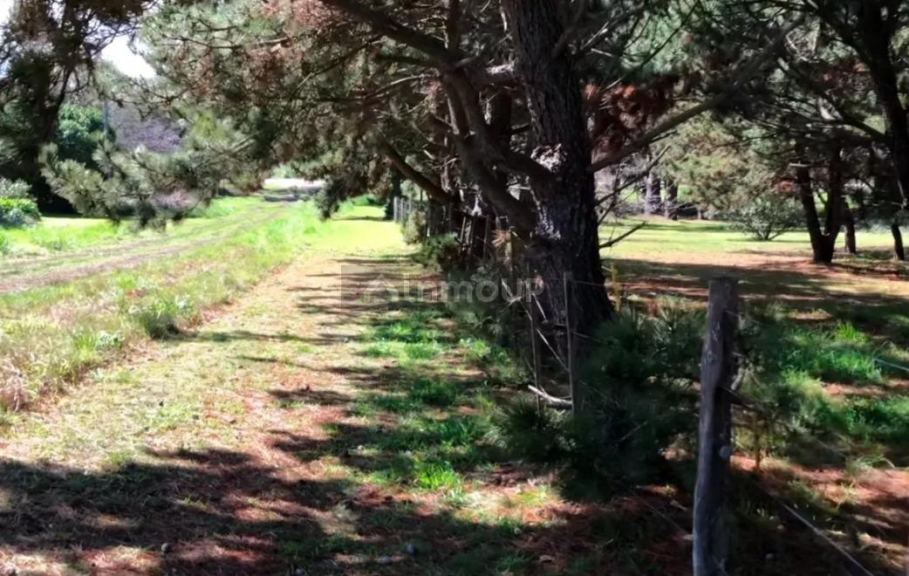 Terreno en Venta en Mar del Plata, Buenos Aires Costa Atlantica