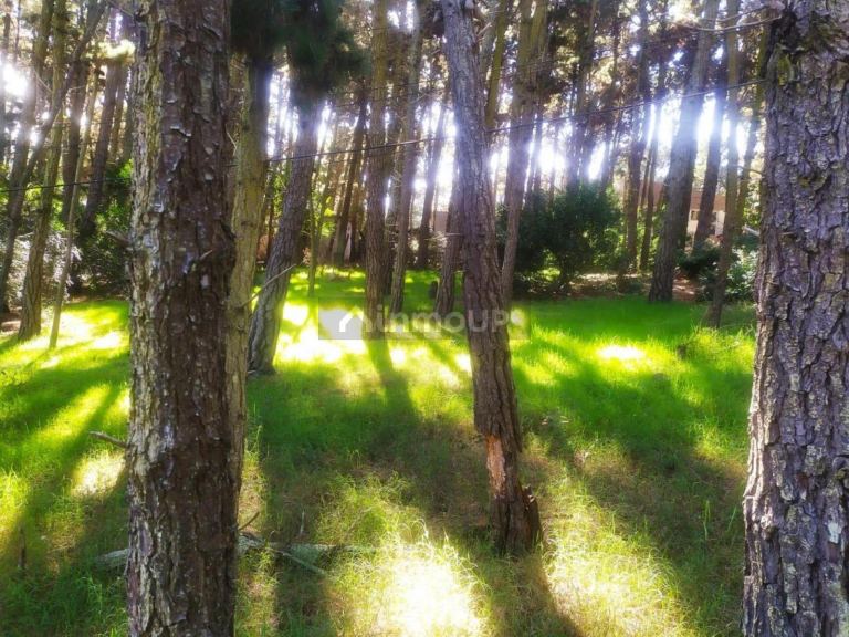 Terreno en Venta en Villa Gesell, Buenos Aires Costa Atlantica