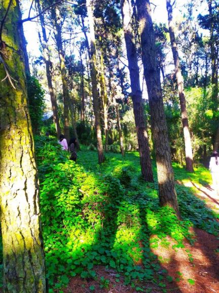 Terreno en Venta en Villa Gesell, Buenos Aires Costa Atlantica