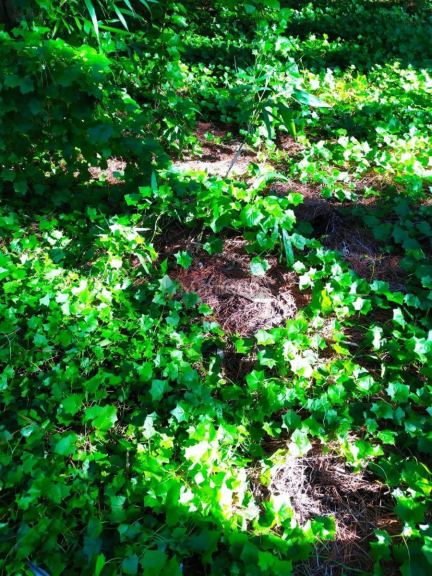 Terreno en Venta en Villa Gesell, Buenos Aires Costa Atlantica