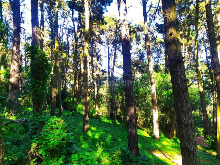 Terreno en Venta en Villa Gesell, Buenos Aires Costa Atlantica