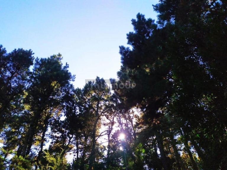 Terreno en Venta en Villa Gesell, Buenos Aires Costa Atlantica