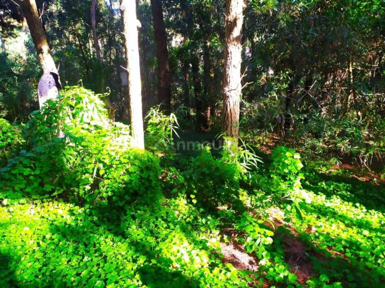 Terreno en Venta en Villa Gesell, Buenos Aires Costa Atlantica