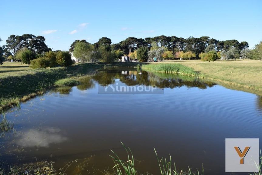 Terreno en Venta en Mar del Plata, Buenos Aires Costa Atlantica - USD 44.000 | Inmoup - 10