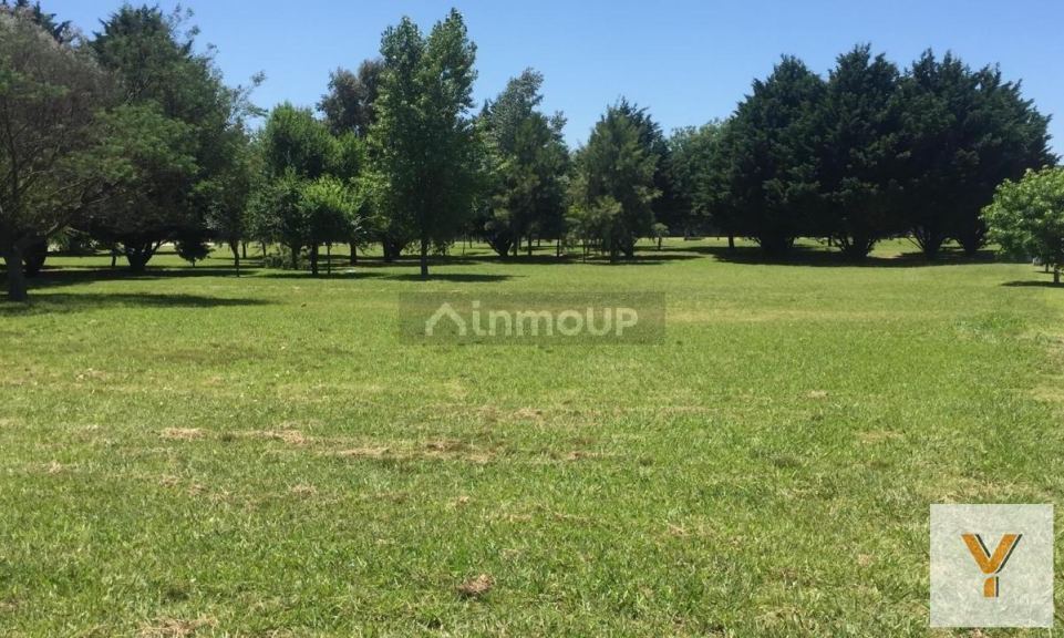 Terreno en Venta en Mar del Plata, Buenos Aires Costa Atlantica - USD 44.000 | Inmoup - 12