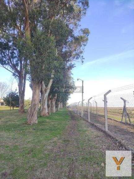 Terreno en Venta en Mar del Plata, Buenos Aires Costa Atlantica - USD 44.000 | Inmoup - 5