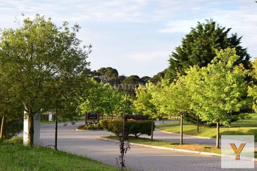 Terreno en Venta en Mar del Plata, Buenos Aires Costa Atlantica - USD 44.000 | Inmoup - 7
