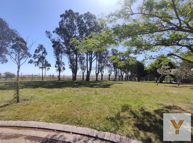 Terreno en Venta en Mar del Plata, Buenos Aires Costa Atlantica - USD 44.000 | Inmoup - 6