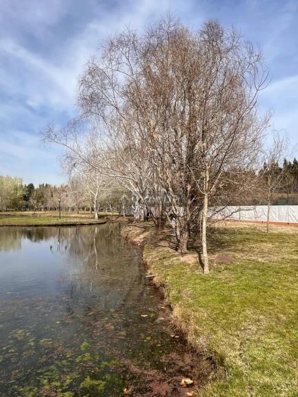 Terreno en Venta en La Plata, G.B.A. Zona Sur