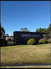 La Plata Haras del Sur II