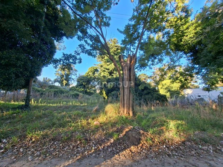 Terreno en Venta en Mar del Plata, Buenos Aires Costa Atlantica