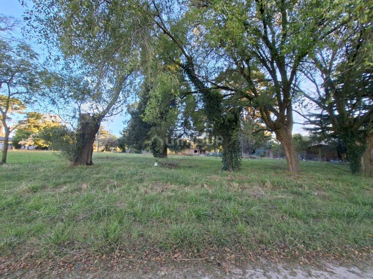 Terreno en Venta en Mar del Plata, Buenos Aires Costa Atlantica