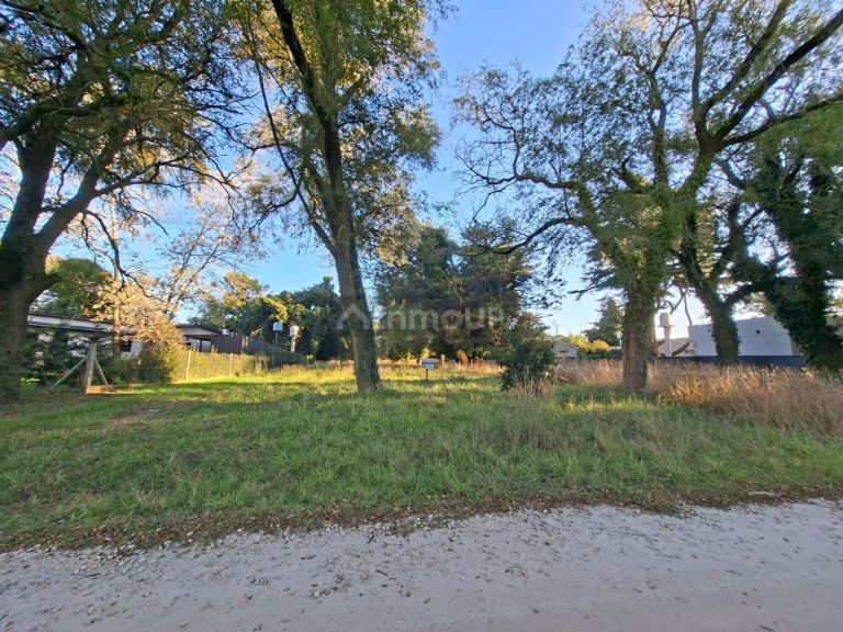 Terreno en Venta en Mar del Plata, Buenos Aires Costa Atlantica
