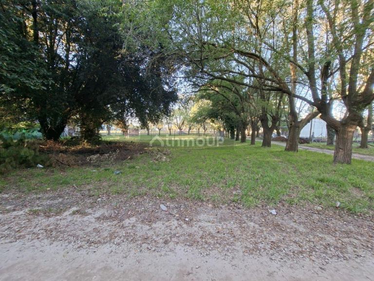 Terreno en Venta en Mar del Plata, Buenos Aires Costa Atlantica