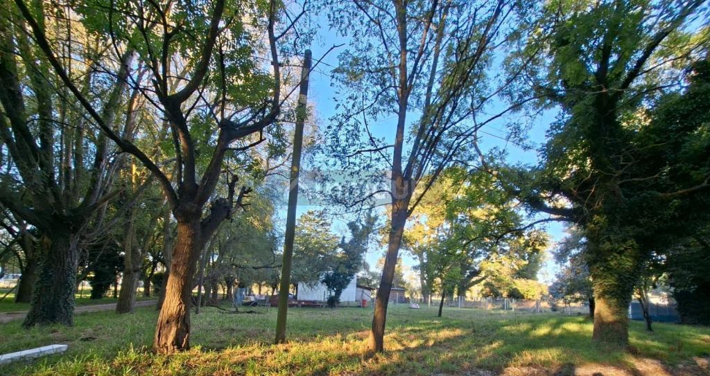Terreno en Venta en Mar del Plata, Buenos Aires Costa Atlantica