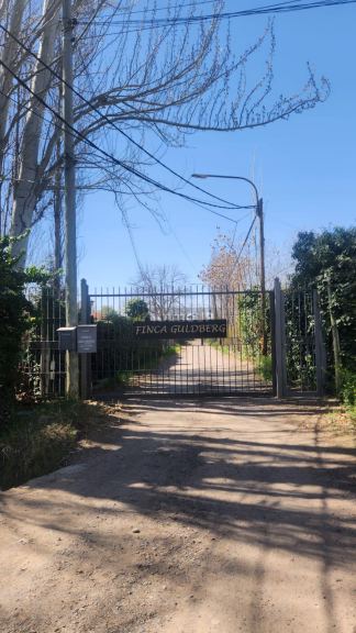 Lote en Venta en Lujan de Cuyo, Mendoza