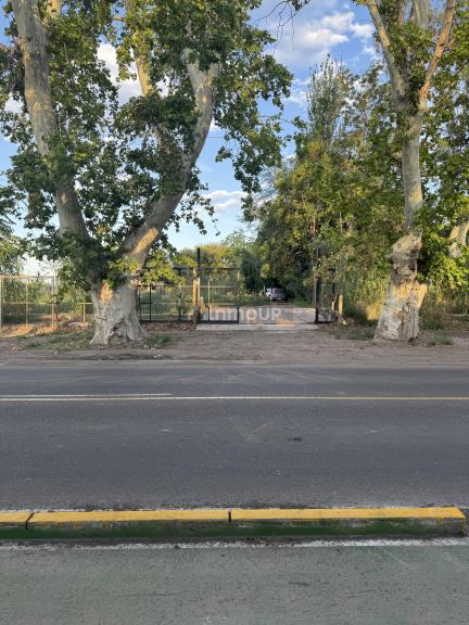Lote en Venta en Lujan de Cuyo, Mendoza