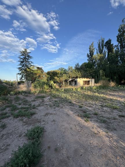Lote en Venta en Lujan de Cuyo, Mendoza