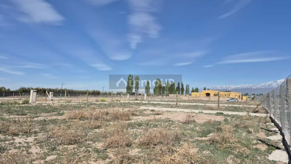 Lote en Venta en Lujan de Cuyo, Mendoza
