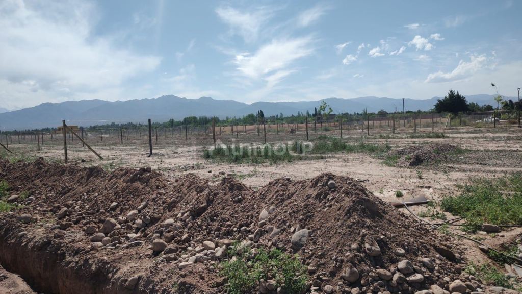 Lote en Venta en Lujan de Cuyo, Mendoza