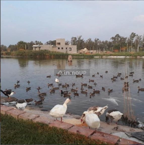 Terreno en Venta en Guaymallen, Mendoza