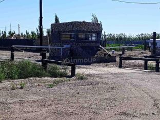Guaymallen Los Pinos  al 10300