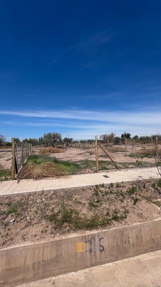Lote en Venta en Lujan de Cuyo, Mendoza