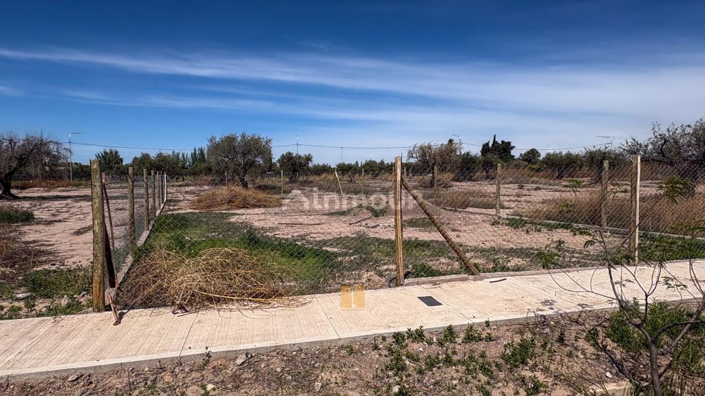 Lote en Venta en Lujan de Cuyo, Mendoza