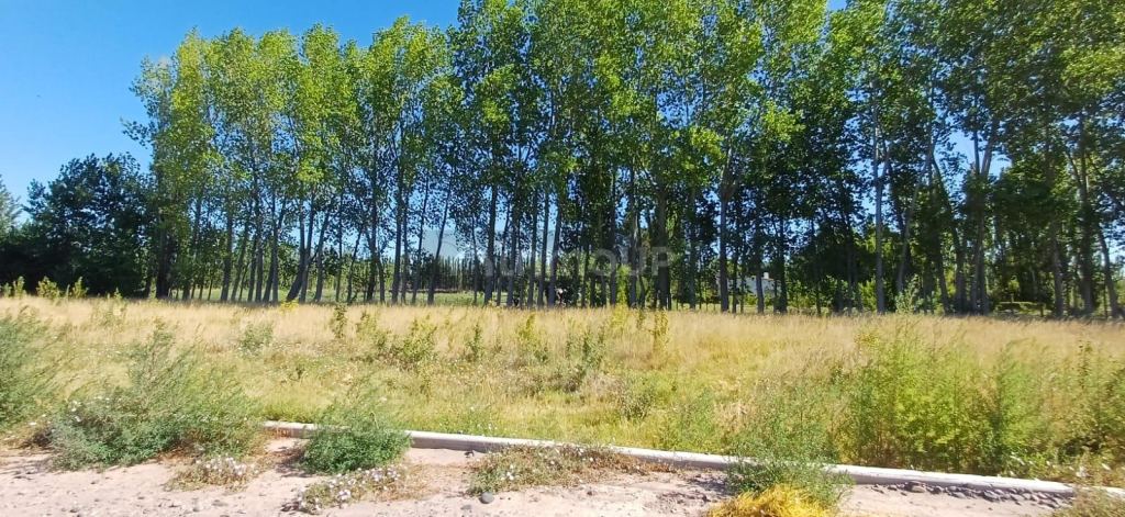 Lote en Venta en Fernandez Oro, Rio Negro