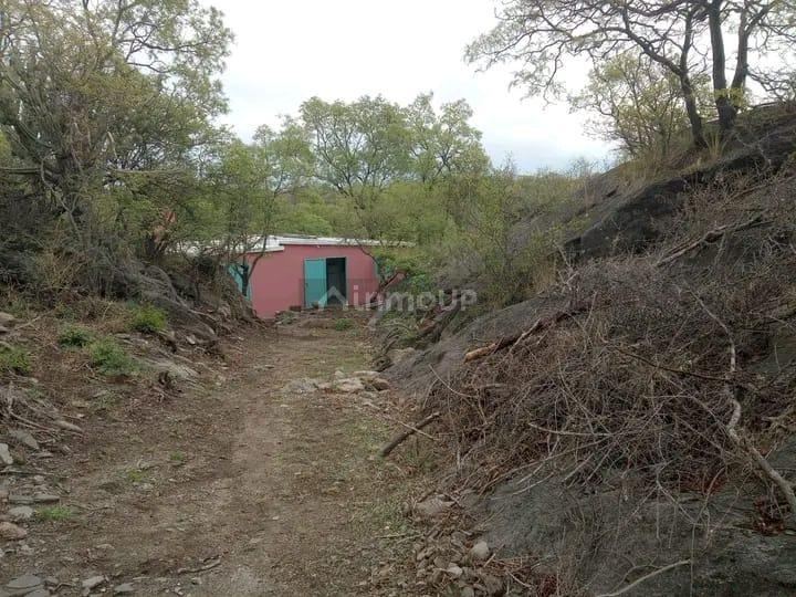 Campo en Venta en Cruz del eje, Cordoba