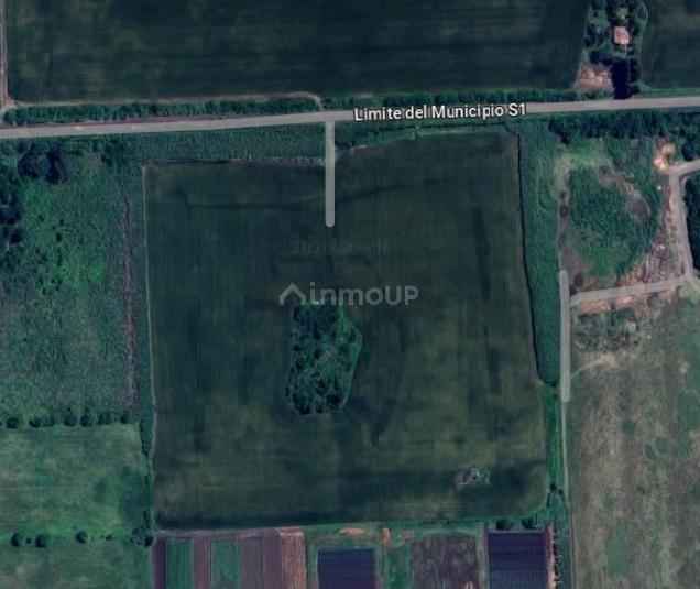 Campo en Venta en Pérez, Santa Fe
