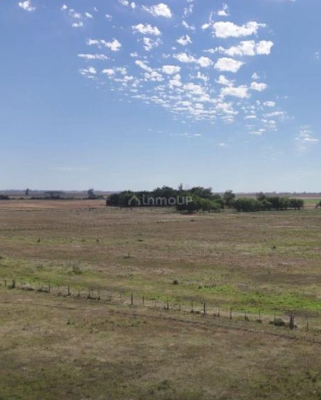 Campo en Venta en San Pedro, Buenos Aires Interior