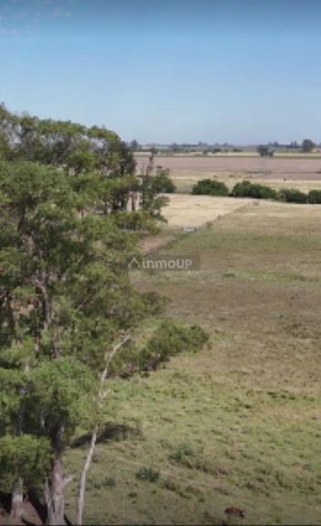 Campo en Venta en San Pedro, Buenos Aires Interior