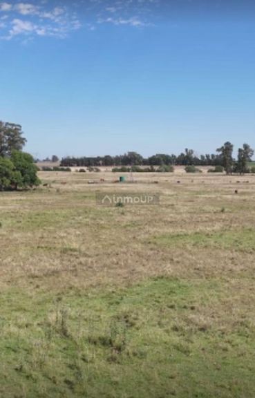 Campo en Venta en San Pedro, Buenos Aires Interior