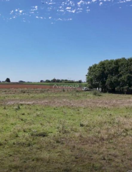 Campo en Venta en San Pedro, Buenos Aires Interior