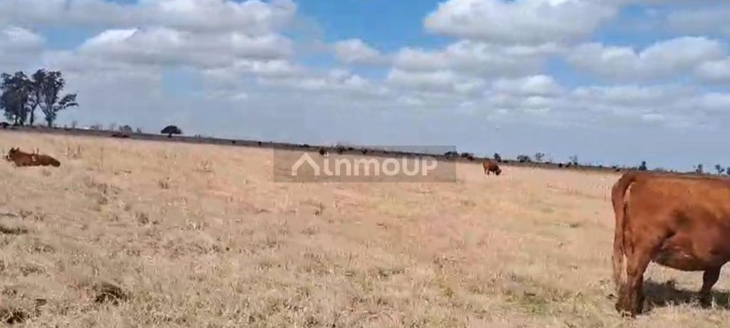 Campo en Venta en Las colonias, Santa Fe - USD 4.500.000 | Inmoup - 7