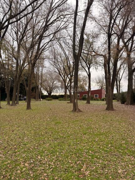 Campo en Venta en Rosario, Santa Fe - USD 120.000 | Inmoup - 42
