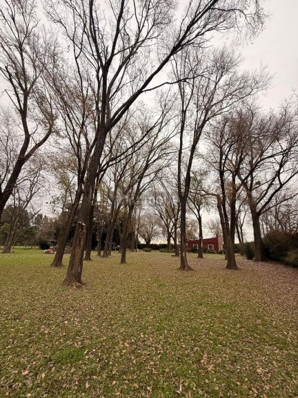 Campo en Venta en Rosario, Santa Fe - USD 120.000 | Inmoup - 41