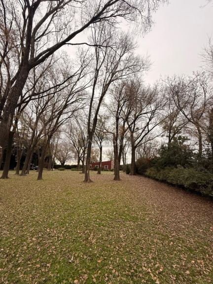 Campo en Venta en Rosario, Santa Fe - USD 120.000 | Inmoup - 39