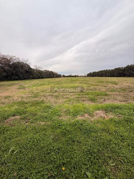 Campo en Venta en Rosario, Santa Fe - USD 120.000 | Inmoup - 58