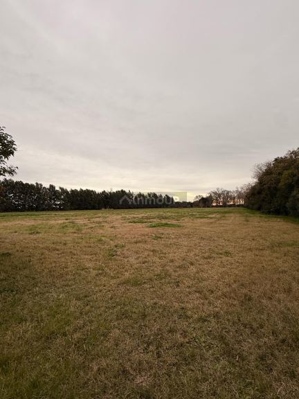 Campo en Venta en Rosario, Santa Fe - USD 120.000 | Inmoup - 56